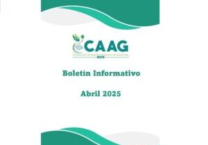 Boletin-202502-caratula
