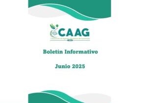 Boletin-202504-caratula