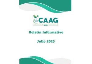 Boletin-202507-caratula