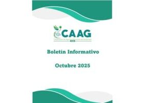 Boletin-202510-caratula