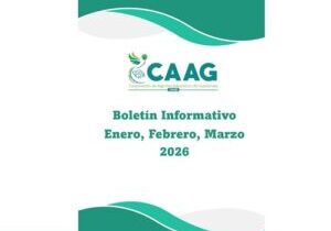 Boletin-202601-03-caratula