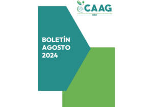 FORMATO BOLETIN AGOSTO