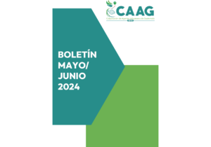 FORMATO BOLETIN MAYO-JUNIO