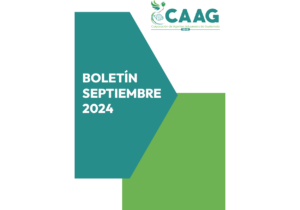 FORMATO BOLETIN SEPTIEMBRE